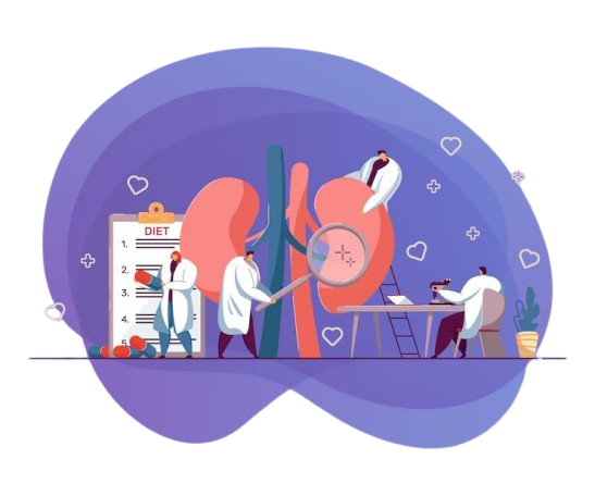 imgi_28_tiny-doctors-examining-kidneys_778687-3880-removebg-preview