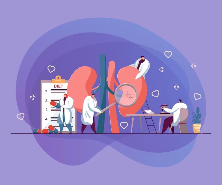 imgi_28_tiny-doctors-examining-kidneys_778687-3880